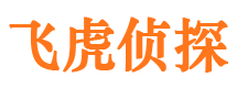 大英市调查公司